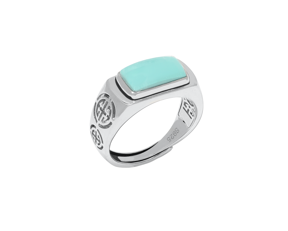 Turquoise Tranquil Facet Gemstone Silver Ring