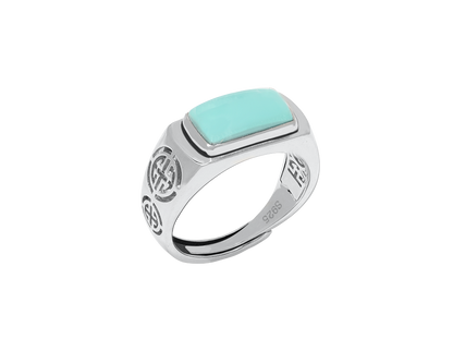 Turquoise Tranquil Facet Gemstone Silver Ring